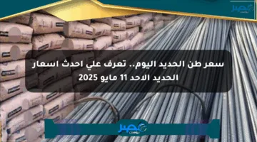 سعر طن الحديد اليوم.. تعرف على أحدث أسعار الحديد الأحد 11 مايو 2025